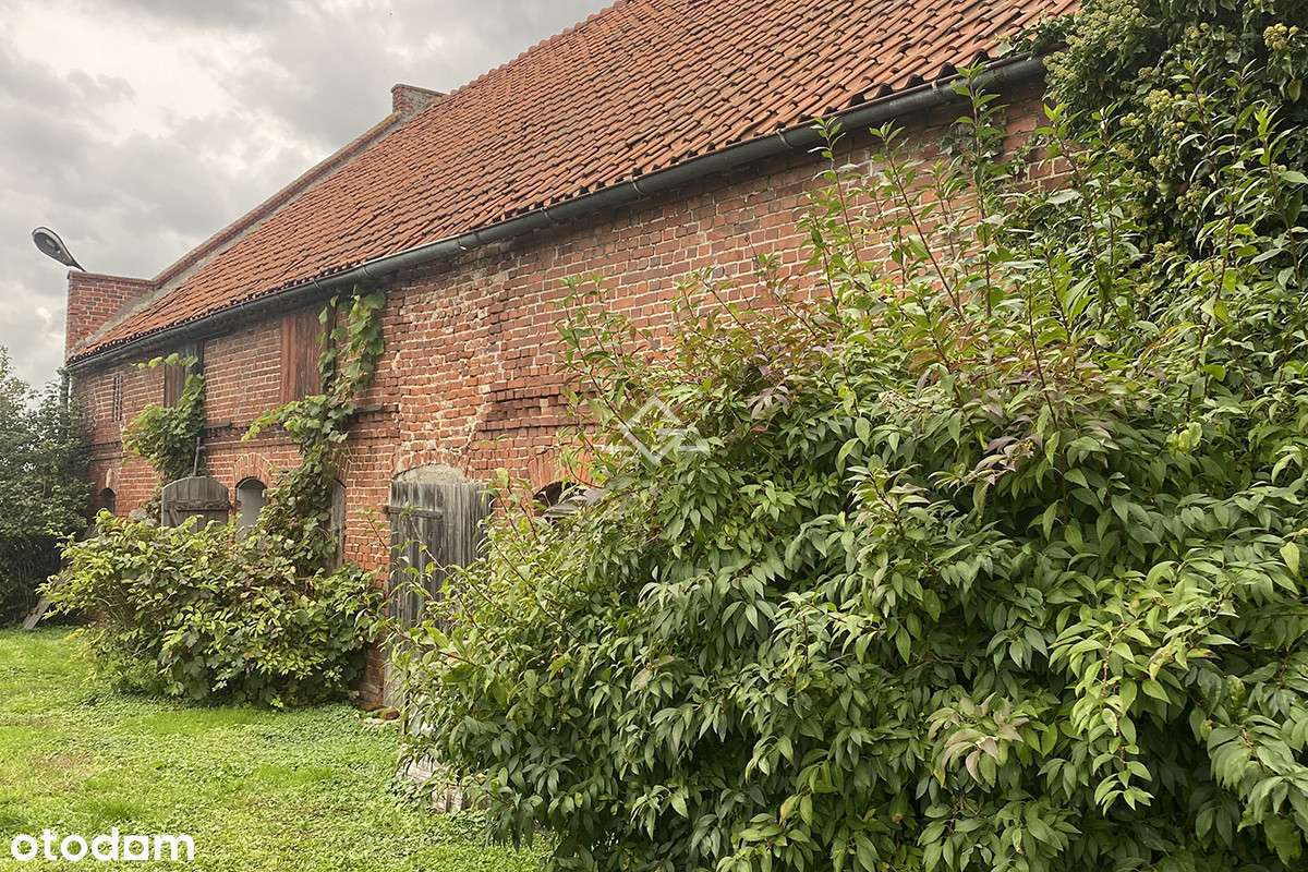Wyjątkowa ceglana stodoła – 1558 m² działki - Pełny obrazek: 4/14