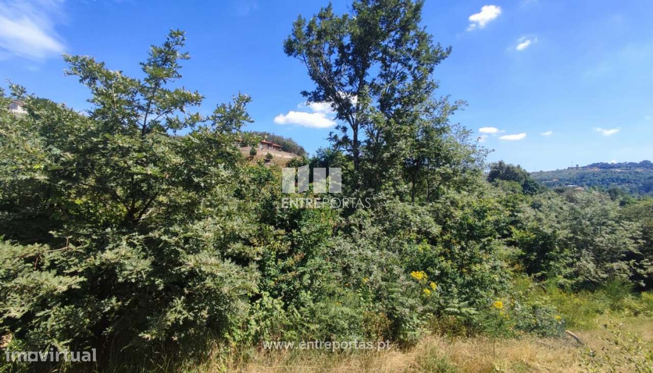 Venda Terreno com 46 048m2, Soalhães, Marco de Canaveses - Grande imagem: 2/30