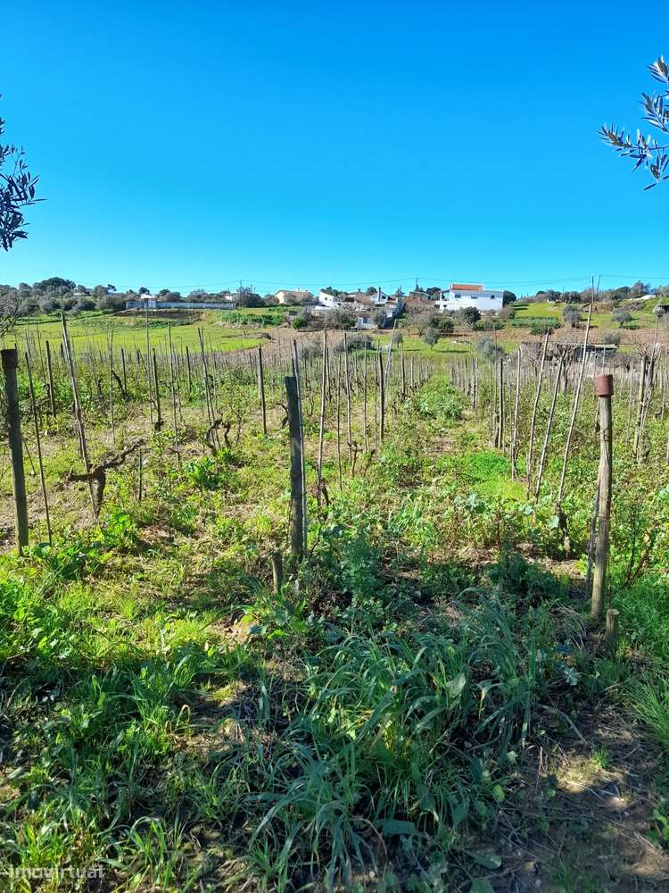 Terreno Rustico com 6240m2 em Pontével - Cartaxo - Grande imagem: 4/13