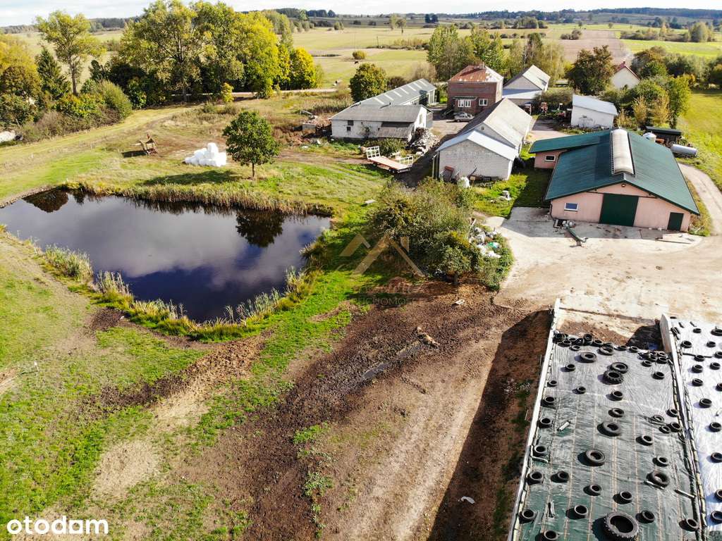 Duże gospodarstwo rolne, 24.4ha - Pełny obrazek: 5/19
