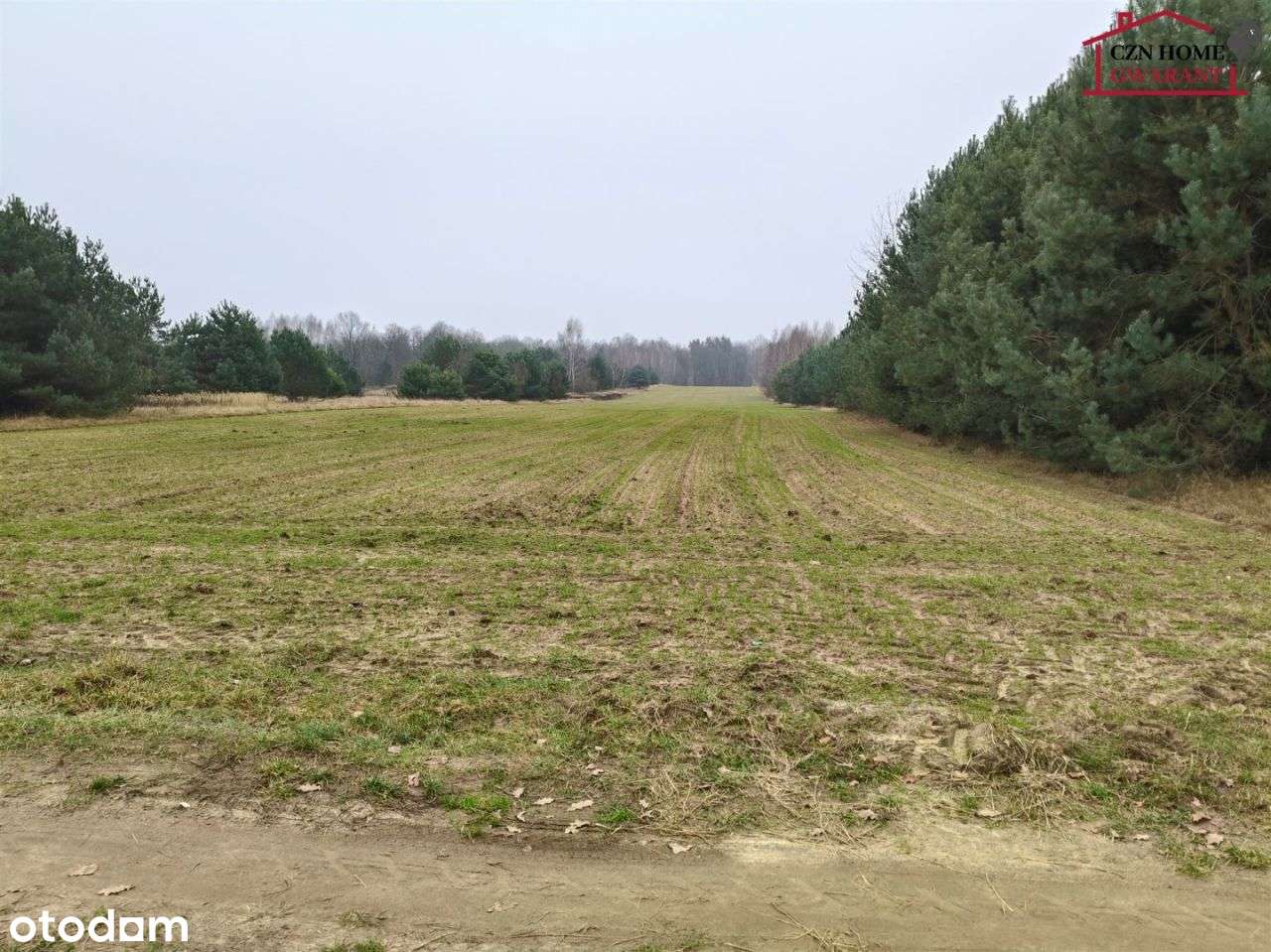 Działka rolno budowlana pod inwestycję. - Pełny obrazek: 3/14