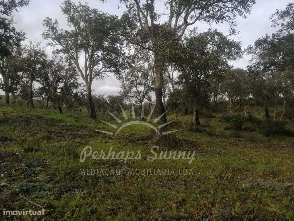 Terreno Rustico São Francisco da Serra - Grande imagem: 4/12