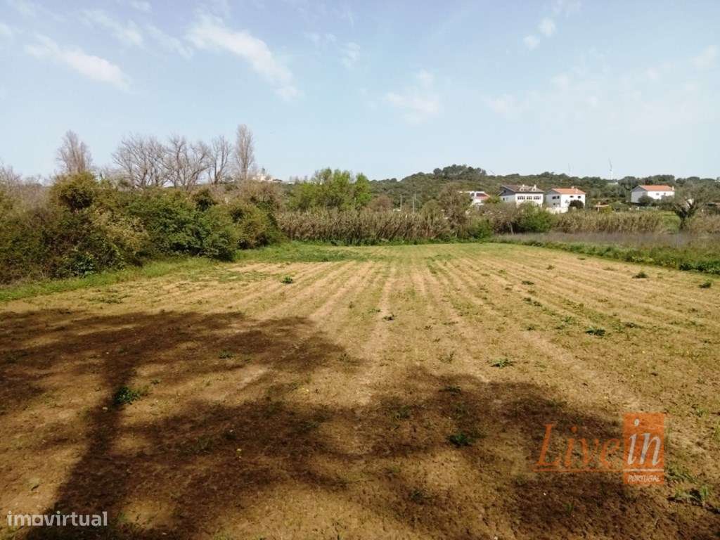 Terreno Agrícola em Ótima Localização com 3500 m2 Junto à Praia Rib... - Grande imagem: 4/8