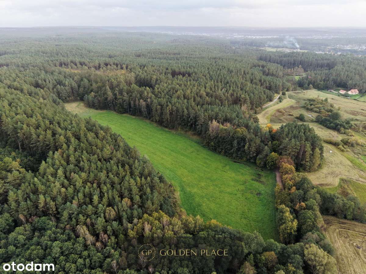 Działka w otoczeniu lasu - Pełny obrazek: 5/13