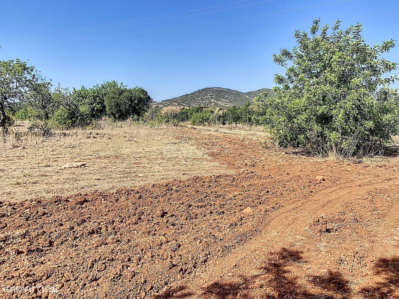 Terreno Rústico 12.000m2 - Falfosa, Santa Bárbara de Nexe