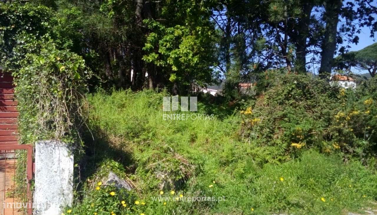 Venda de Terreno para construção, Afife, Viana do Castelo - Grande imagem: 4/28