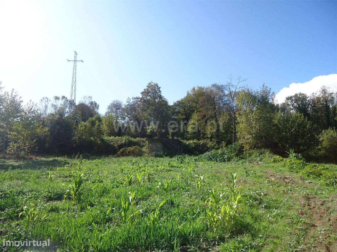 Terreno com 2.432 m2 em Silvares São Martinho - Grande imagem: 4/7