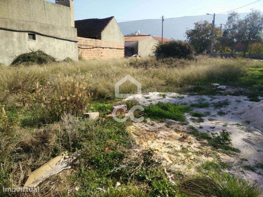 Lote urbano para construção de moradia - Grande imagem: 4/4