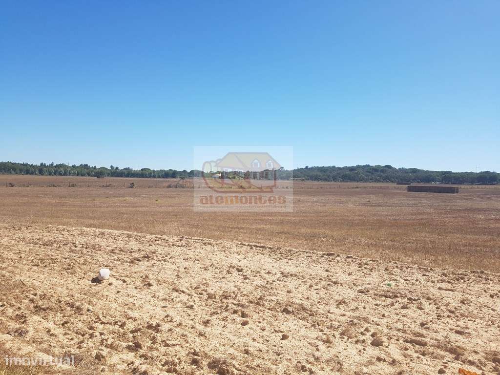 Monte Alentejano em Melides com vistas de mar e lagoa! - Grande imagem: 5/8