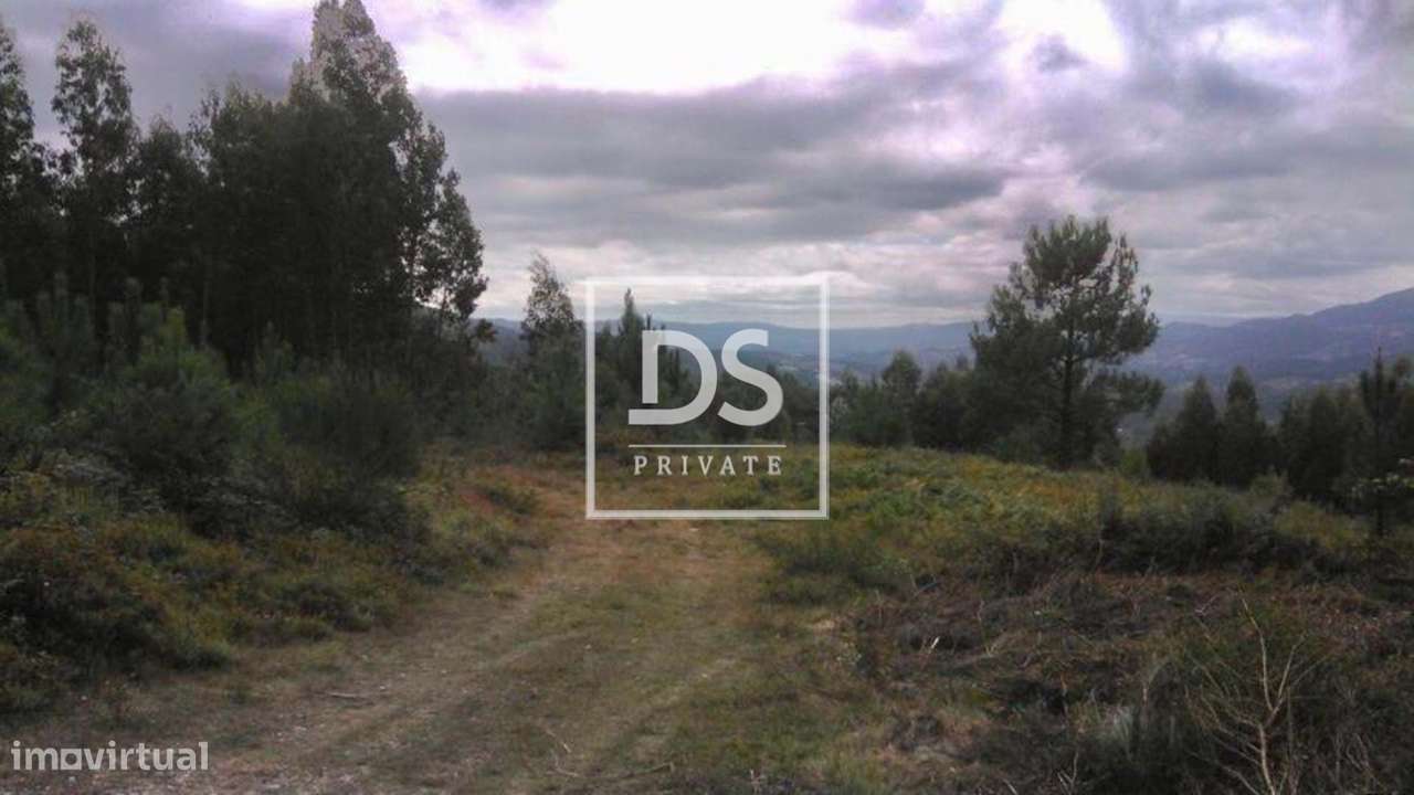 Terreno Não definido em Valdosende - Grande imagem: 2/3