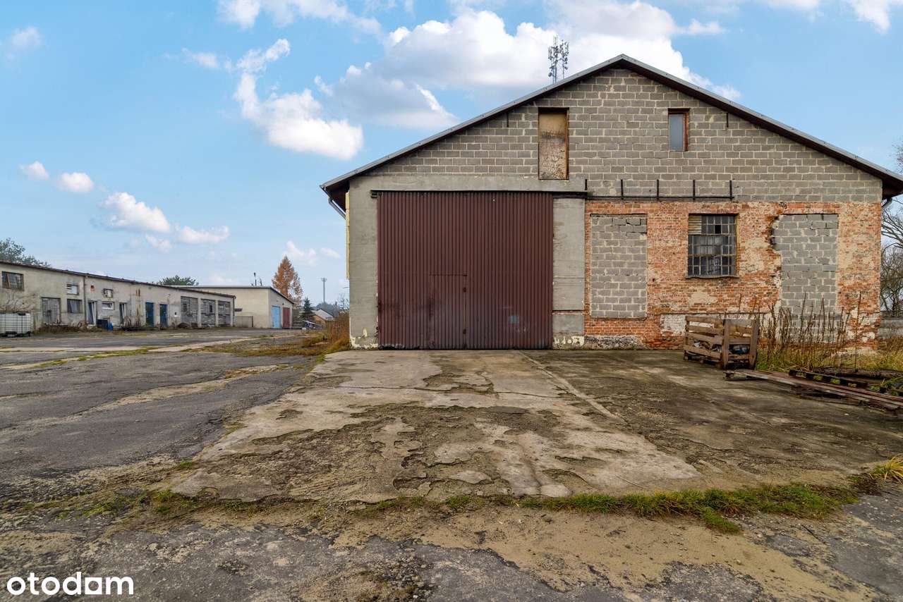 10 000  m2  w centrum Szczekocin-6