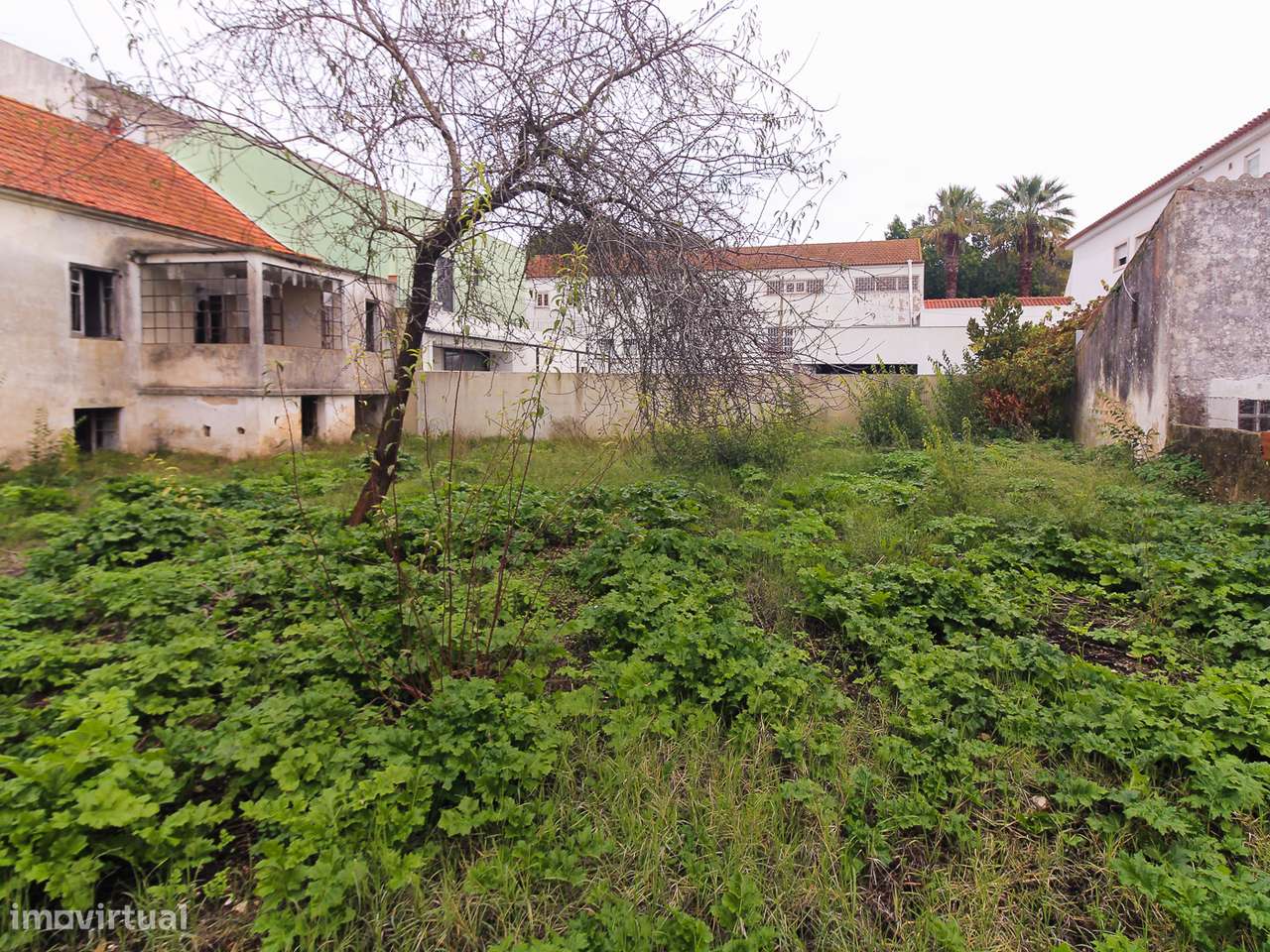 Conjunto de 2 Moradias no Centro da Cidade. - Grande imagem: 5/20