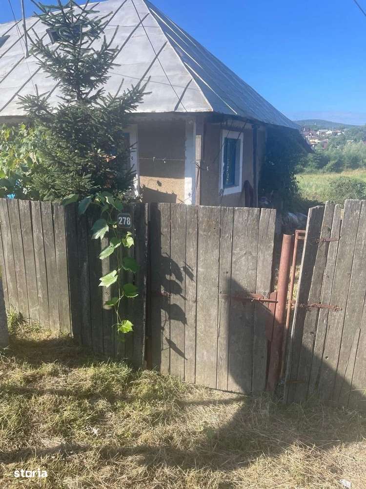 Casa batraneasca si teren 757 mp Calea Moinesti-Margineni-8