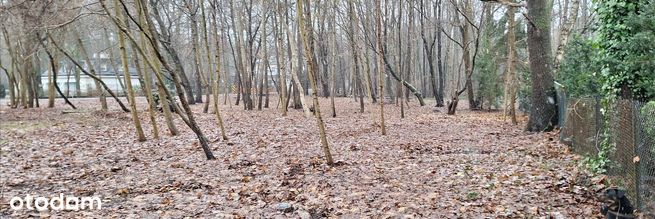 Działka na sprzedaż, Grodziski, Podkowa Leśna