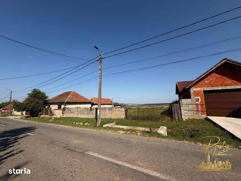 Teren intravilan de vanzare in Tasad - comuna Dragesti - Imagine principală: 2/7