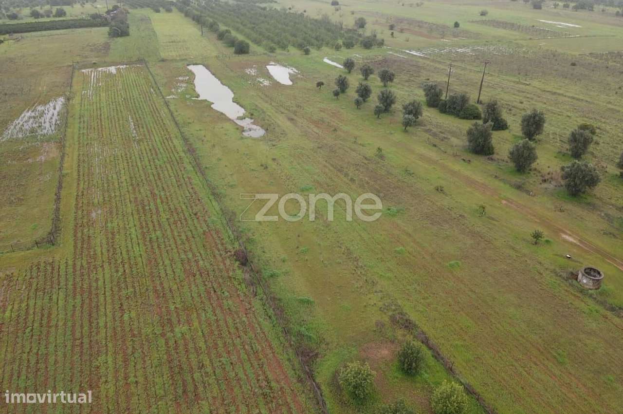 Terreno Rústico c/ 2.440m2 em Lenciscais, Paderne, Albufeira - Grande imagem: 5/16