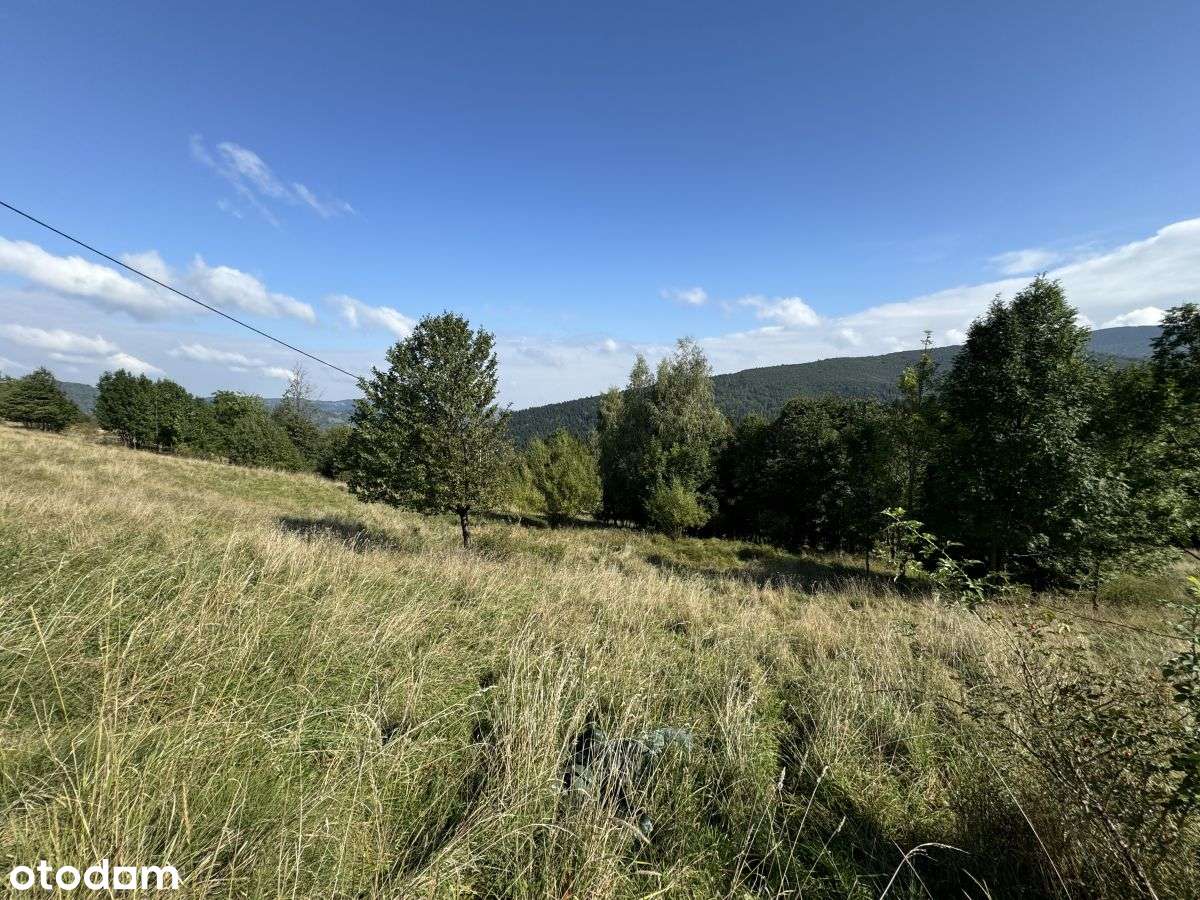 Urokliwa działka 94 ar z widokiem na  Mosorne - Pełny obrazek: 4/9