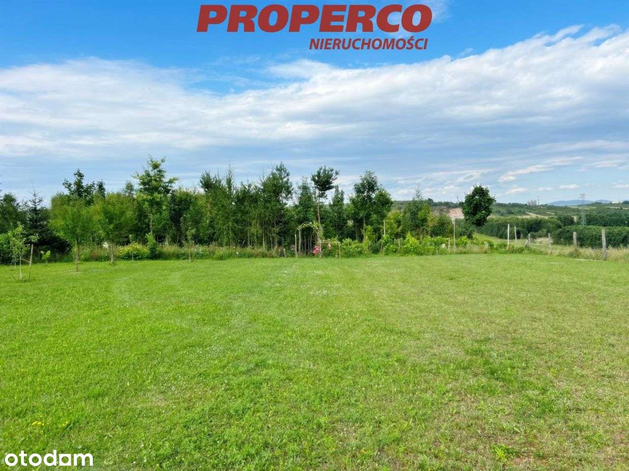 Działka 13100m2, Radkowice gm. Chęciny - Pełny obrazek: 4/15