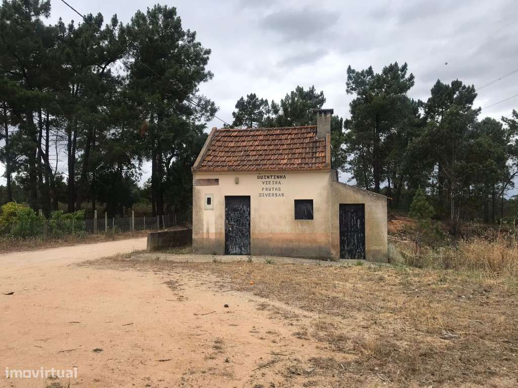 Quinta com casinha na Chancelaria, Torres Novas-5