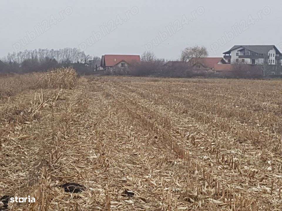 Teren Intravilan 2932 mp Stupini - Imagine principală: 3/4