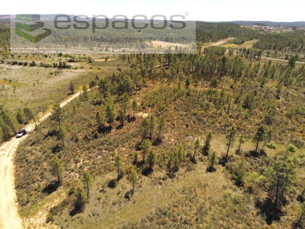 Terreno rústico - Risca do Cabo - Grande imagem: 5/12