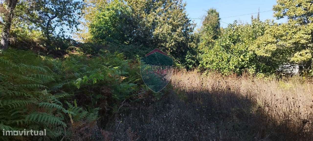 Terreno Rústico  Venda em Viseu,Viseu - Grande imagem: 3/8
