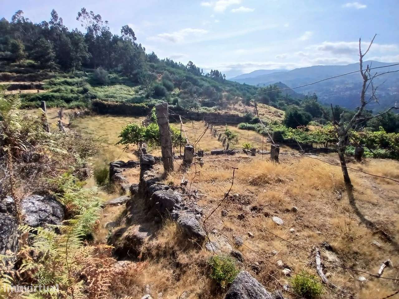Terreno rústico com casa em pedra para recuperar – Soajo, Arcos de Val-26