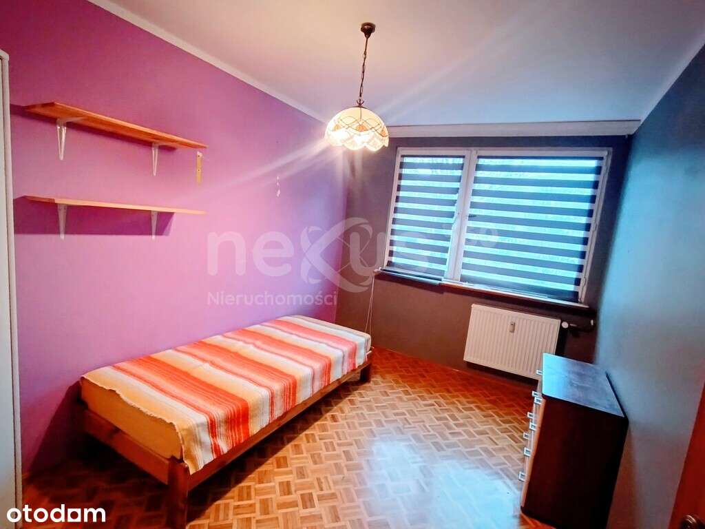 Duże mieszkanie na wynajem - 3 pokoje - parter - Pełny obrazek: 3/13