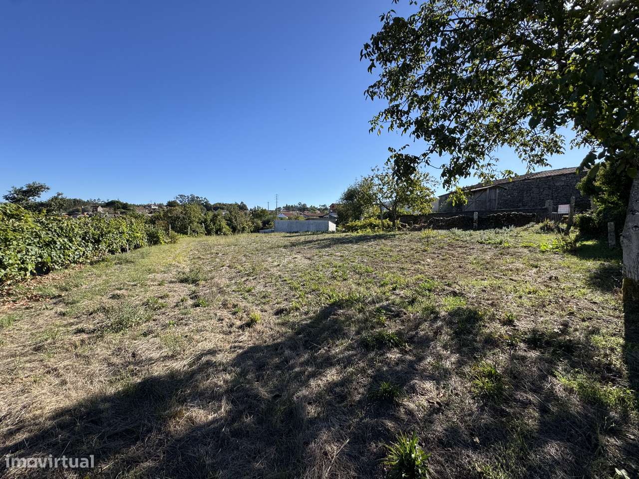 Terreno p/ construção – Vouzela - Grande imagem: 4/20