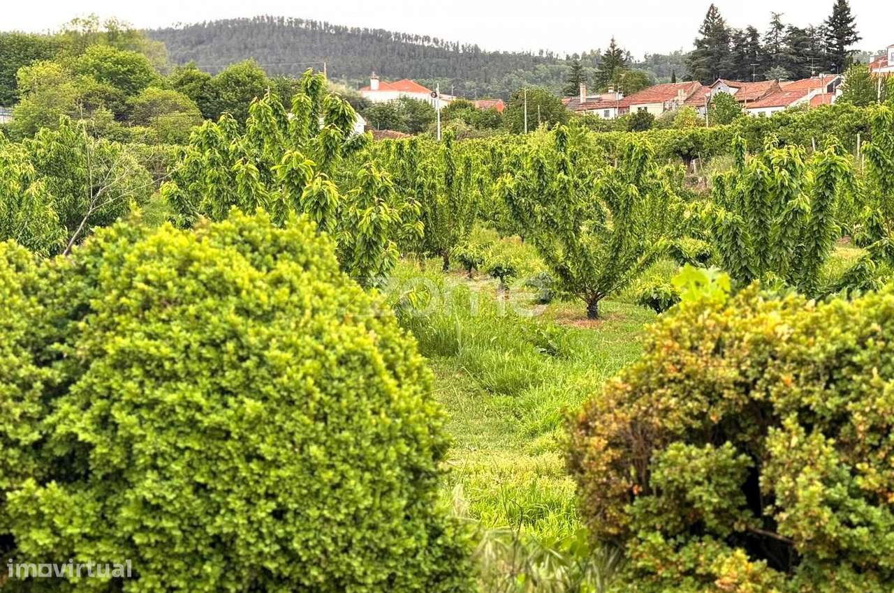 QUINTA no ALCAIDE – FUNDÃO-47