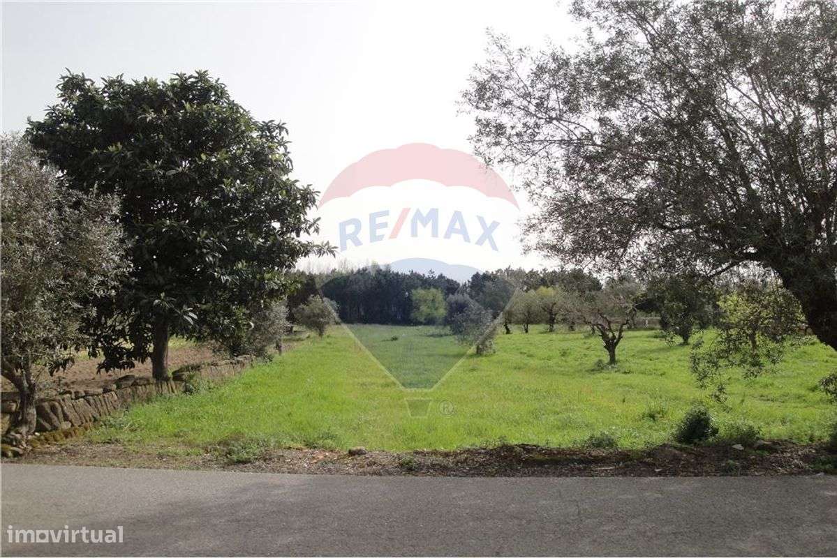 Terreno  para venda - Grande imagem: 4/4