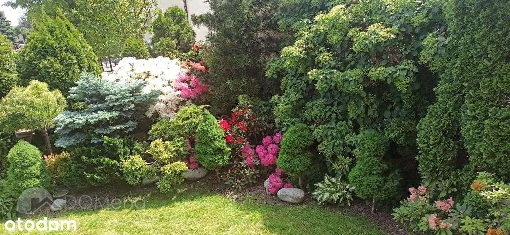 Dom, 125 m², Zamość-3