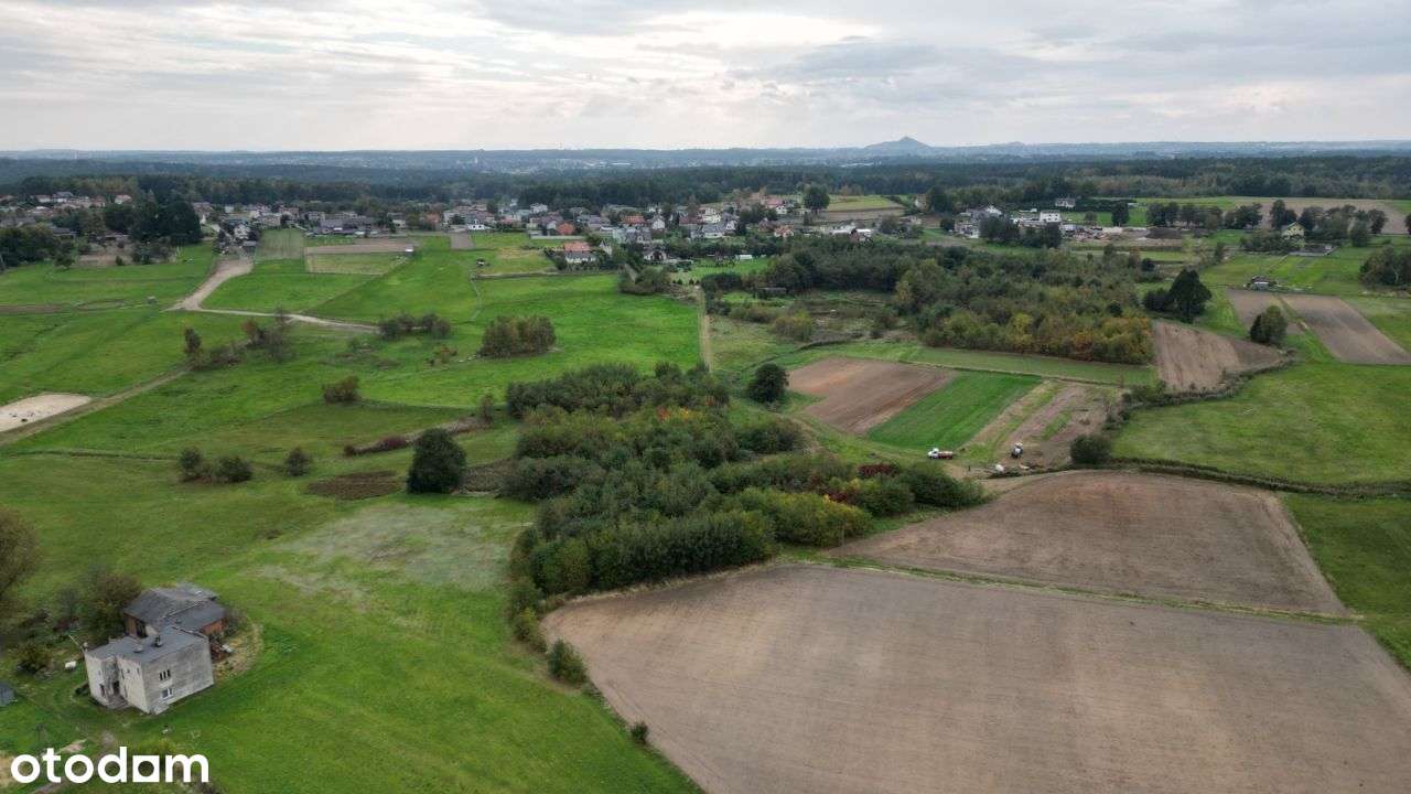 Działka 1 ha w otoczeniu natury!-3