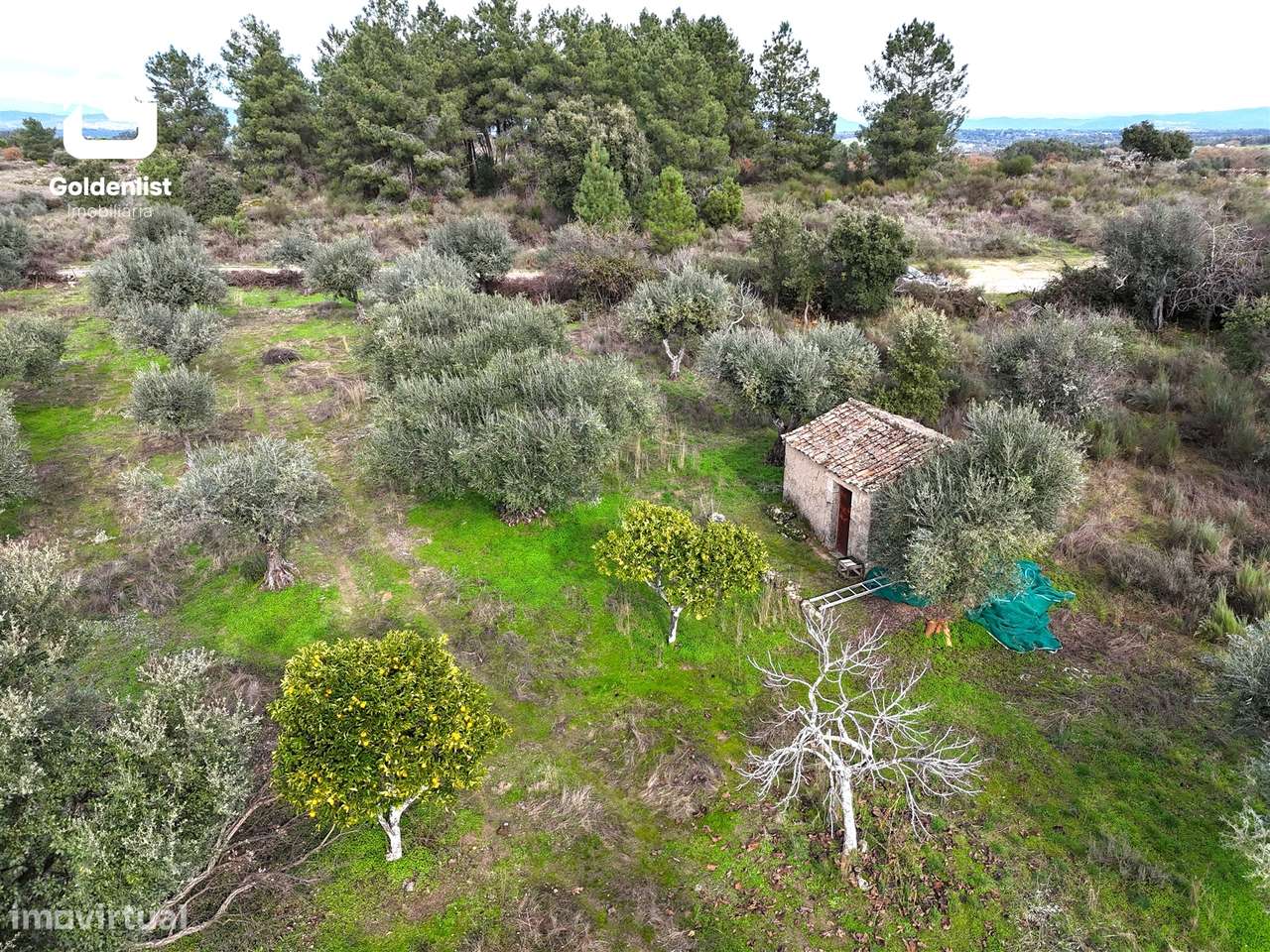 Quintinha  Venda em São Miguel de Acha,Idanha-a-Nova - Grande imagem: 4/33