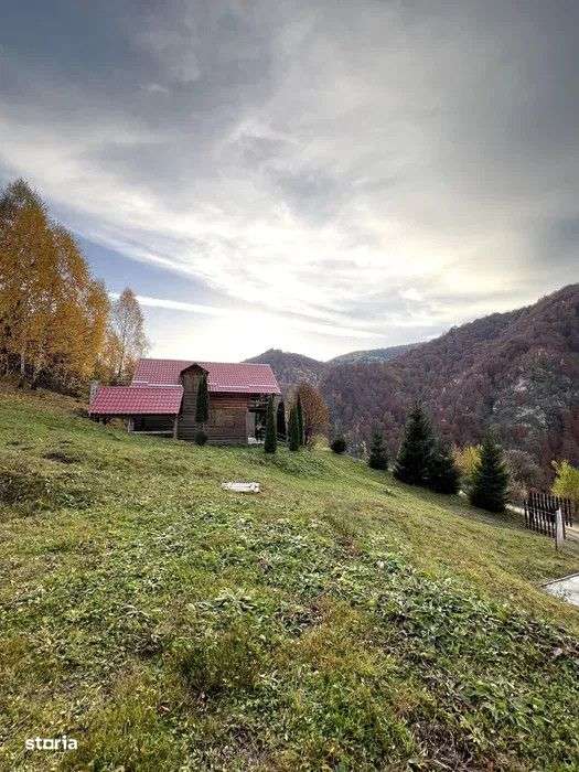 Teren 5ha in Muntii Apuseni, 2 Cabane, 3 parcele, padure, munte, in Va - Imagine principală: 5/9