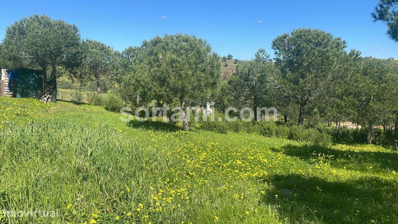 Terreno Rústico  Venda em Castro Marim,Castro Marim - Grande imagem: 5/18