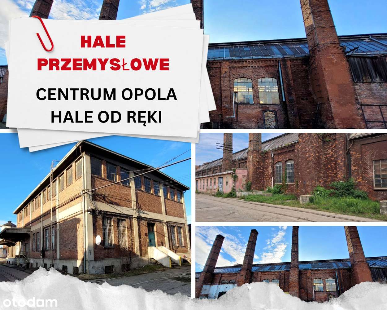 BIURA, pracownie loft + magzyn 2x 678m2! Opole! NOWA CENA! - Pełny obrazek: 2/20