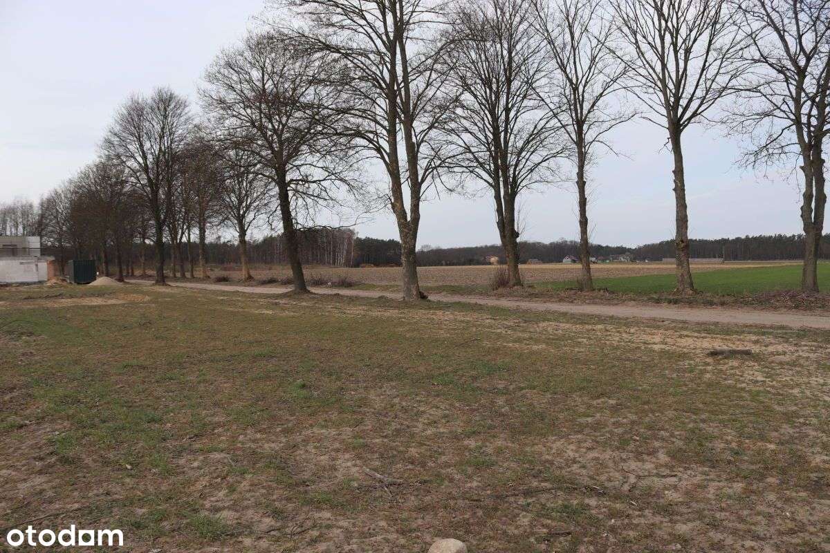 Działka w spokojnej okolicy - Pełny obrazek: 5/6