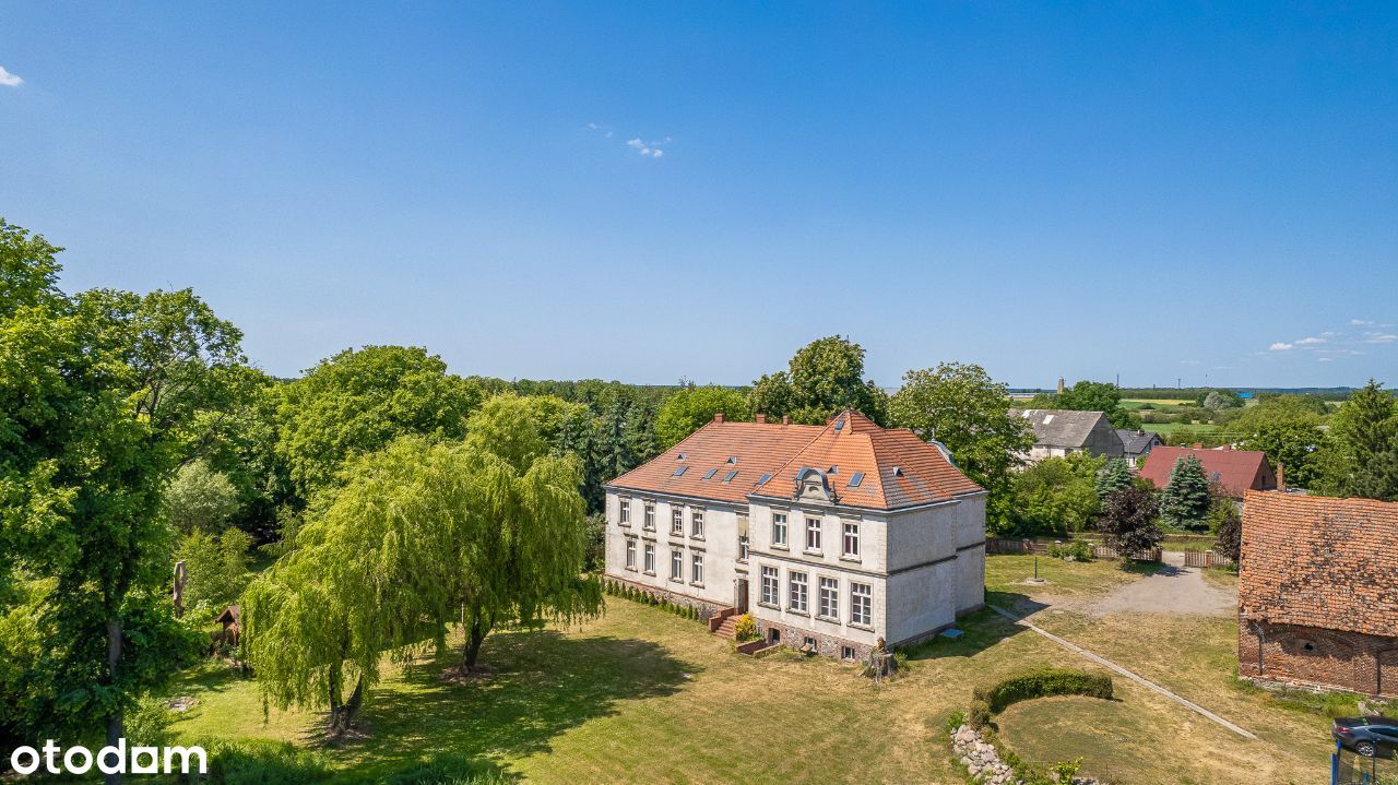 Na sprzedaż pałac w Boduszewie, Murowana Goślina