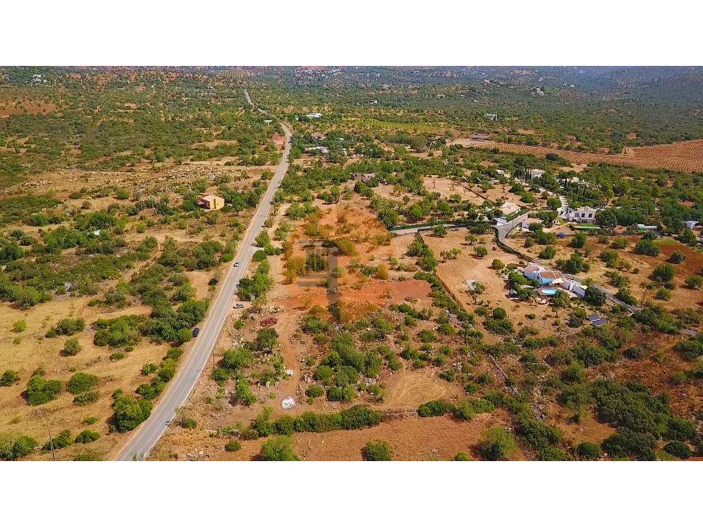 Terreno Rústico com Eletricidade e Furo - Grande imagem: 5/7