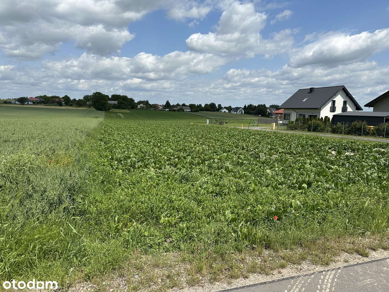 RPm 20m x ok. 230m media ul. Cicha - Pełny obrazek: 2/6