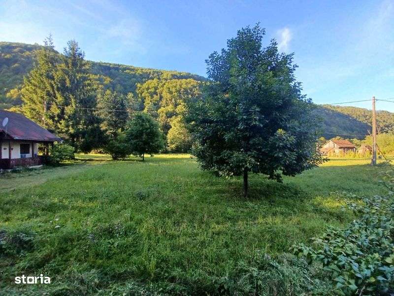 Teren de vanzare in Remeti, jud Bihor, suprafata 2.900 mp - Imagine principală: 5/8