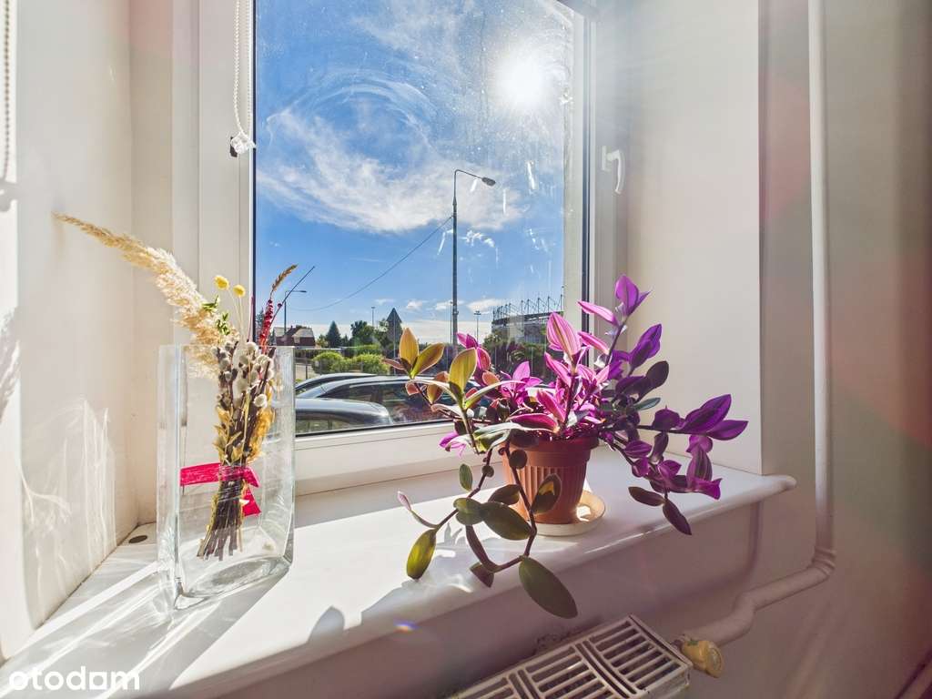 Duże mieszkanie ul. Śląska-13