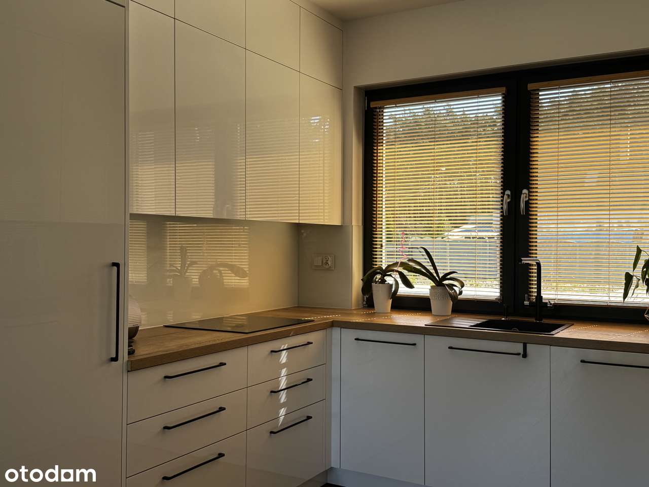 -Nowy Dom Daszewice- Pod Lasem--5