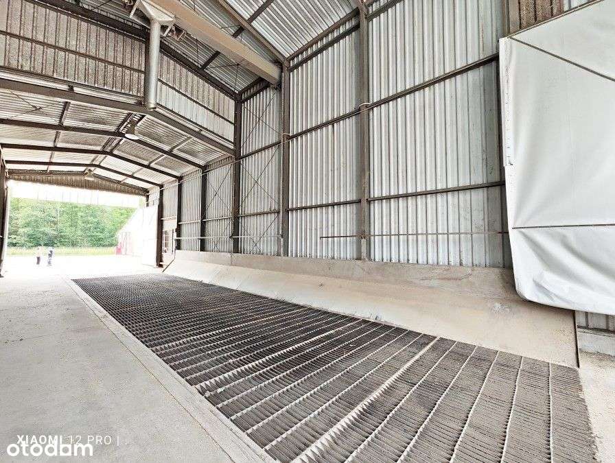 Lokal użytkowy, 26 472 m², Baszewice-8