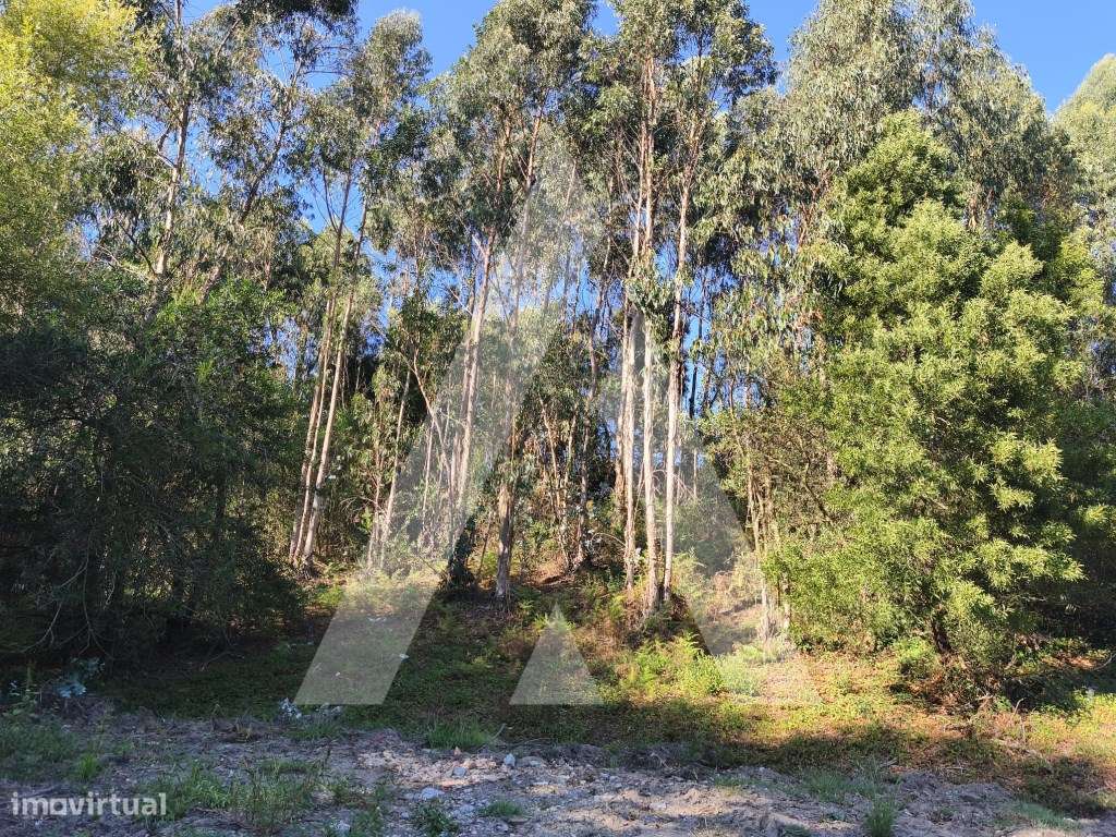 Terreno em Eixo - Grande imagem: 3/6