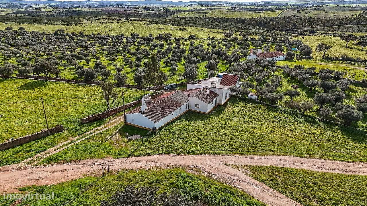 Quinta  para venda-13