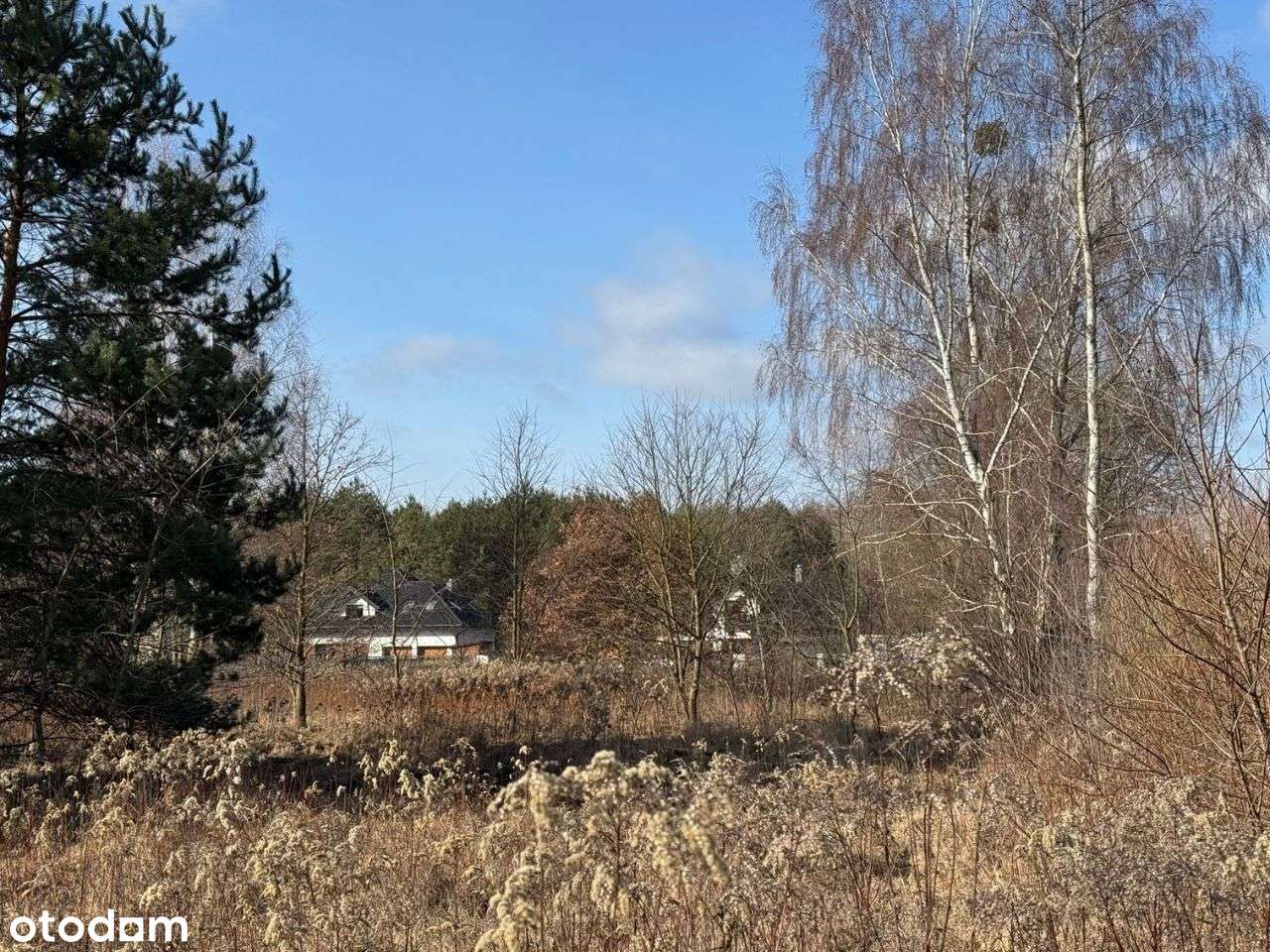 Działka budowlana Kąty, bezpośrednio 900 m2 - Pełny obrazek: 2/6