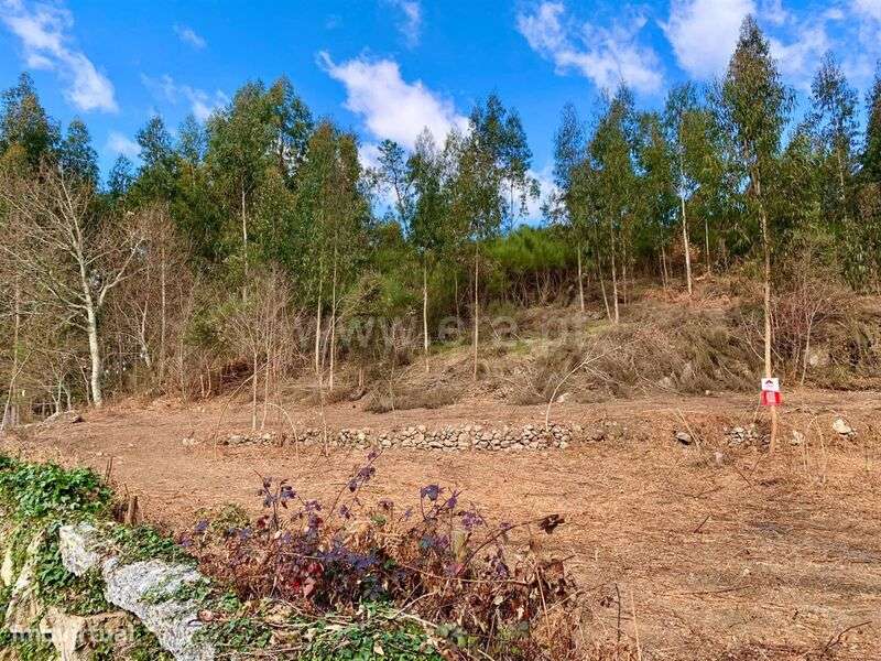 Terreno / Cinfães, Fornelos - Grande imagem: 5/8