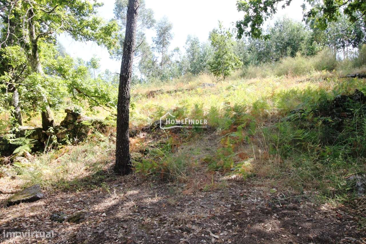 Moradia para Recuperar com Amplo Terreno e Potencial Infinito em Frian-24